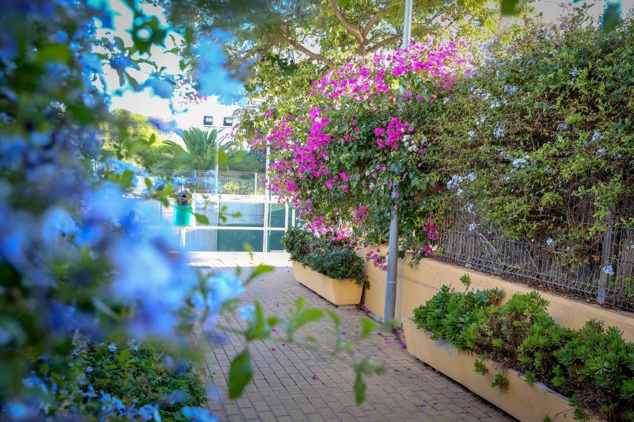 Montesol Home - Parking Gratis Ayamonte Dış mekan fotoğraf